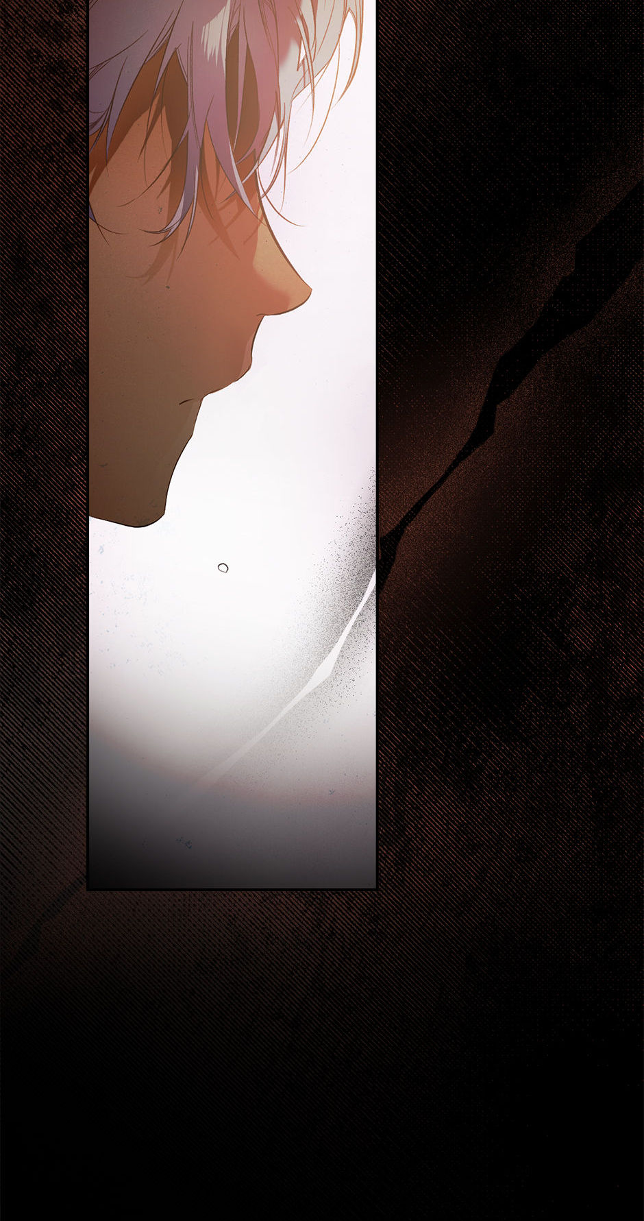 Secret Lady Chapter 69 page 63