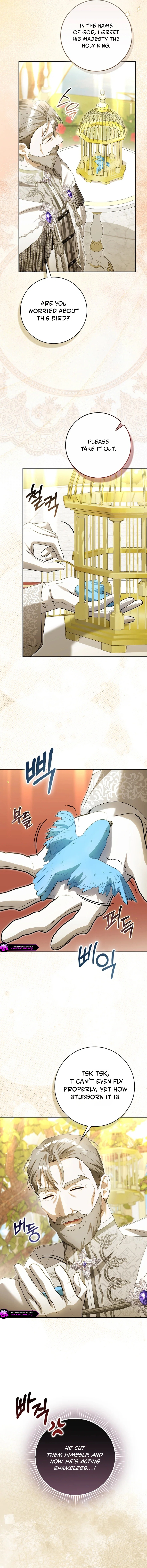 The Baby Fairy Is a Villainess Chapter 68 page 8