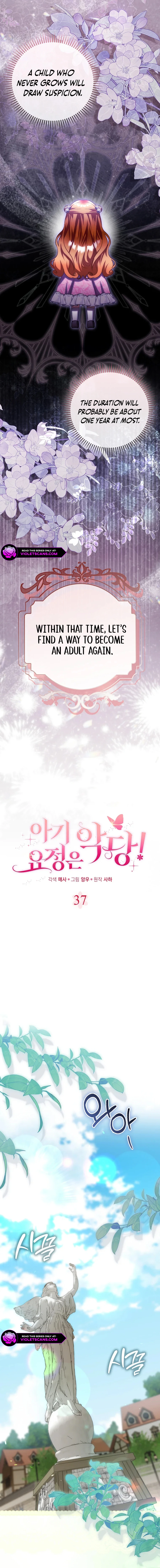 The Baby Fairy Is a Villainess Chapter 37 page 4