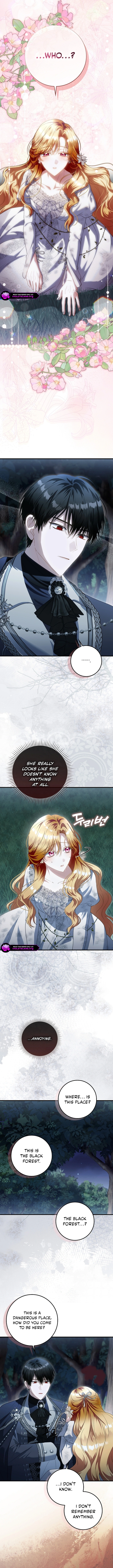 The Baby Fairy Is a Villainess Chapter 51 page 9