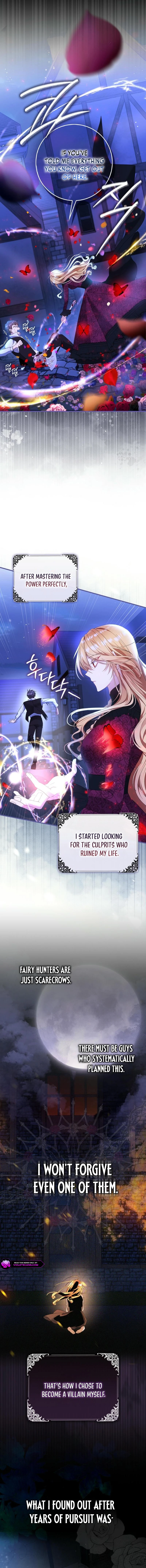 The Baby Fairy Is a Villainess Chapter 1 page 13
