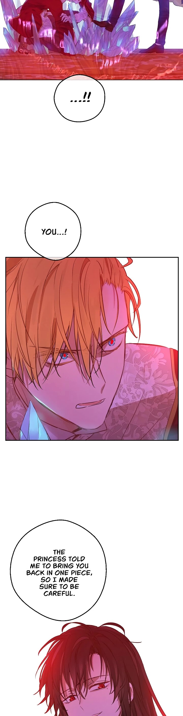 Who Made Me a Princess? Chapter 104 page 30