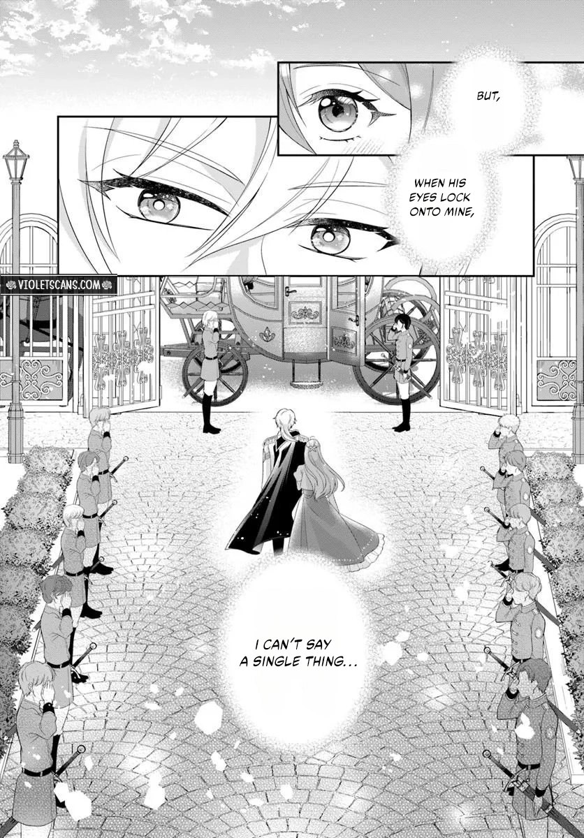 Watashitachi Rikon Shimasunode Ikenie Reijou to Reikoku Hunjin no Kanpekinaru Rikon Keikaku Chapter 1 page 25