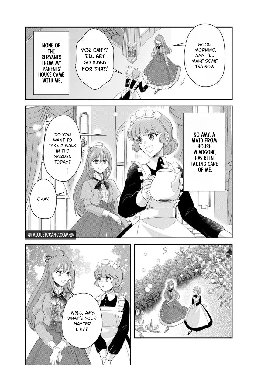 Watashitachi Rikon Shimasunode Ikenie Reijou to Reikoku Hunjin no Kanpekinaru Rikon Keikaku Chapter 1 page 27
