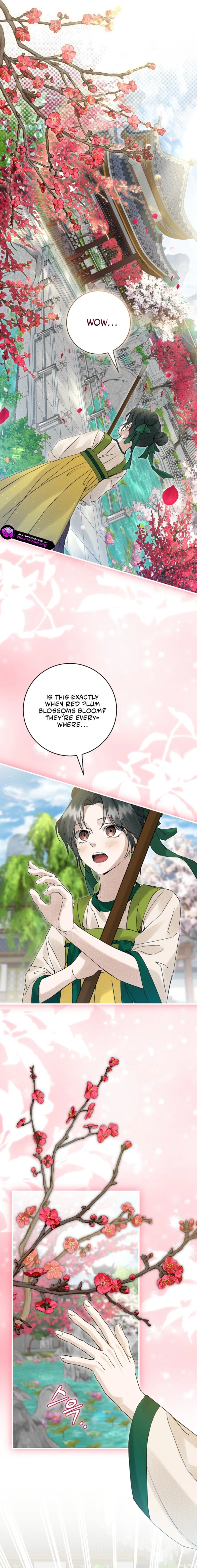 Surviving as the Dang Clan's Handmaiden Chapter 4 page 3