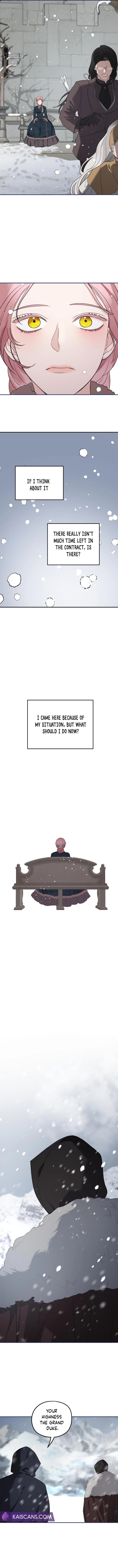 My In-Laws Are Obsessed With Me Chapter 85 page 10
