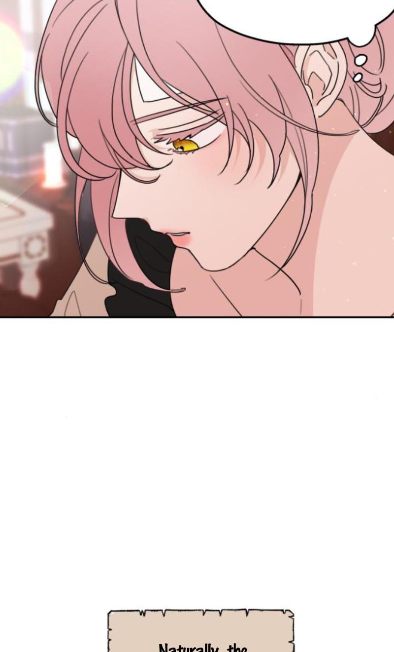 My In-Laws Are Obsessed With Me Chapter 11 page 4