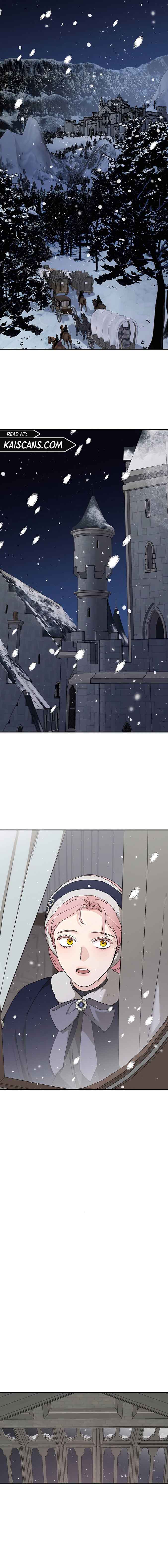 My In-Laws Are Obsessed With Me Chapter 84 page 14