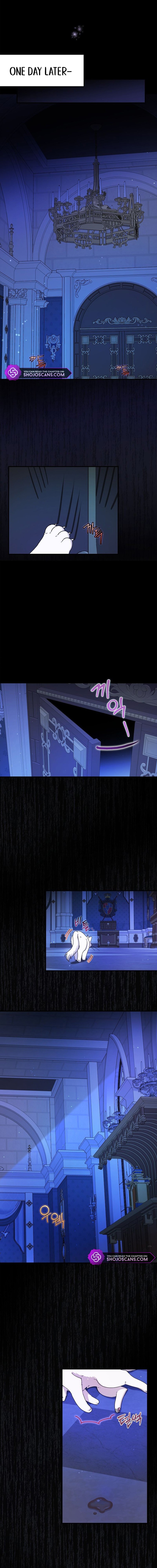 I Became the Emperor's Cat Chapter 3 page 14