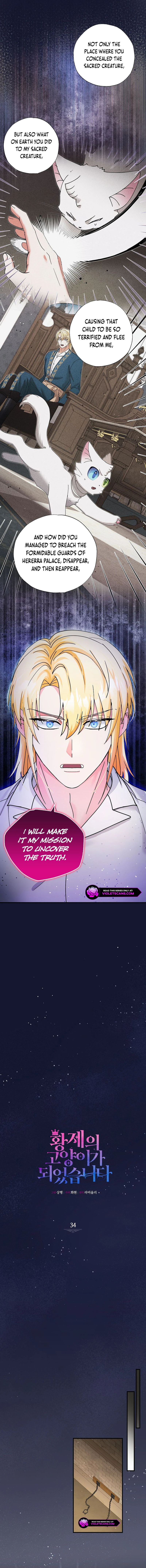 I Became the Emperor's Cat Chapter 34 page 2