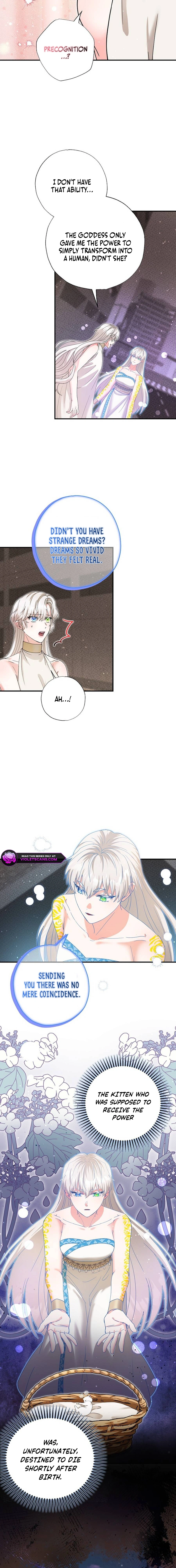 I Became the Emperor's Cat Chapter 56 page 6