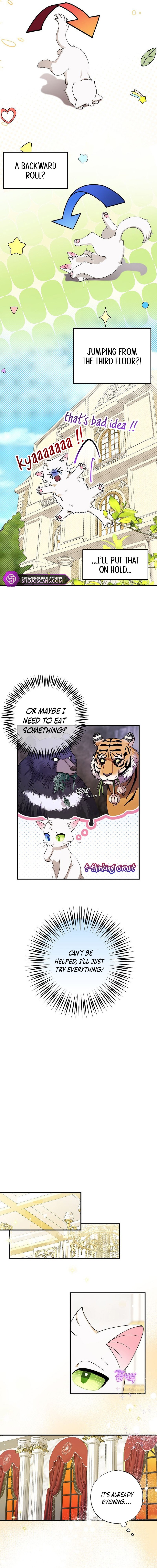 I Became the Emperor's Cat Chapter 2 page 8