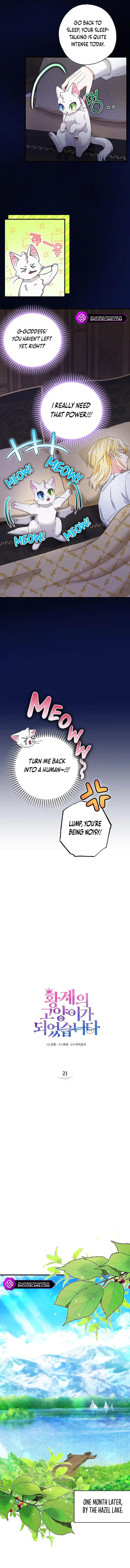 I Became the Emperor's Cat Chapter 21 page 3
