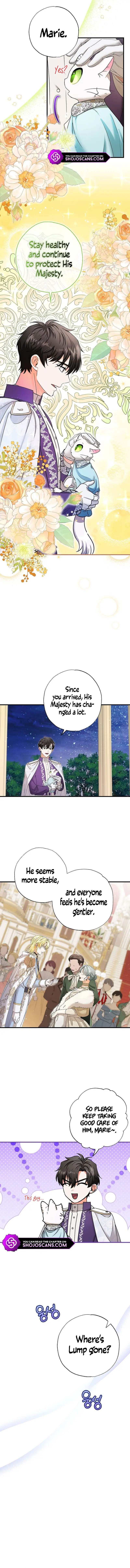 I Became the Emperor's Cat Chapter 20 page 10