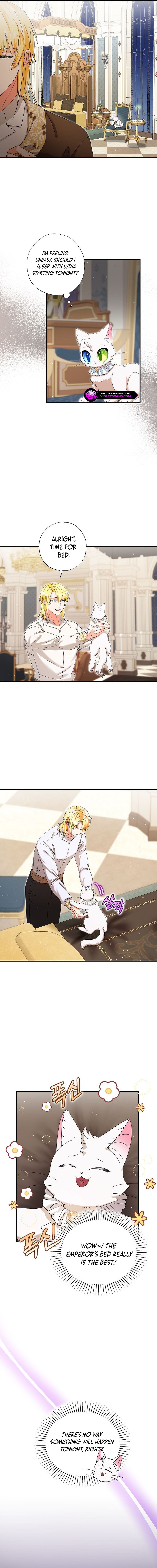 I Became the Emperor's Cat Chapter 33 page 9