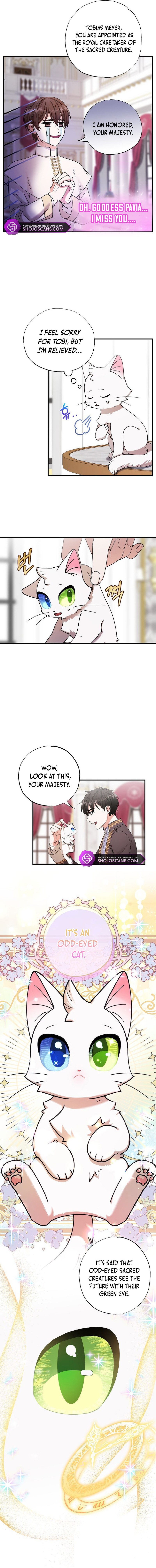 I Became the Emperor's Cat Chapter 1 page 12