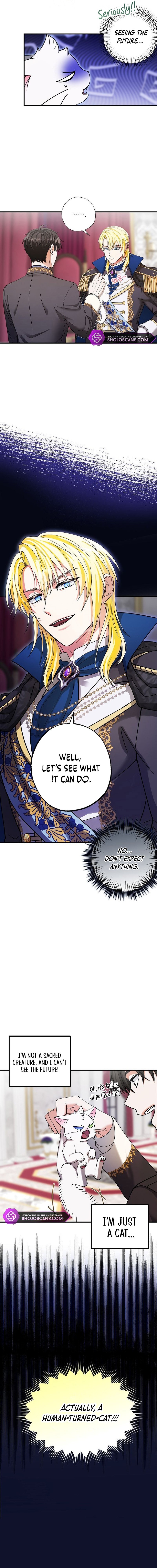 I Became the Emperor's Cat Chapter 1 page 13