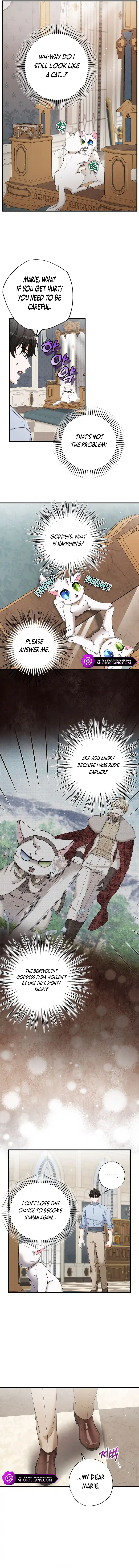I Became the Emperor's Cat Chapter 22 page 9