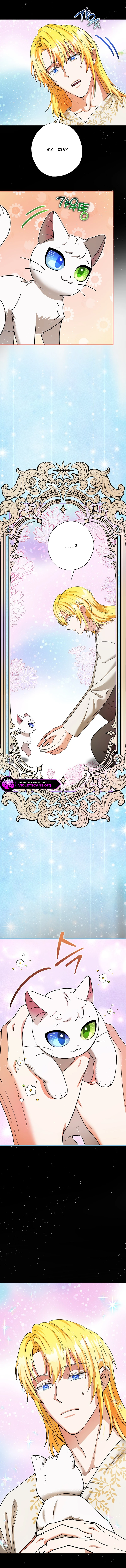 I Became the Emperor's Cat Chapter 82 page 3