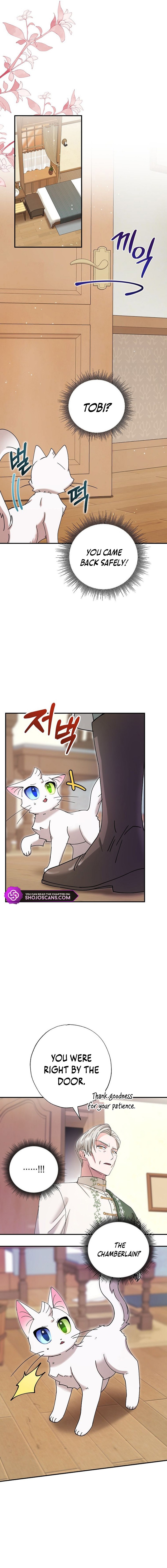 I Became the Emperor's Cat Chapter 8 page 11