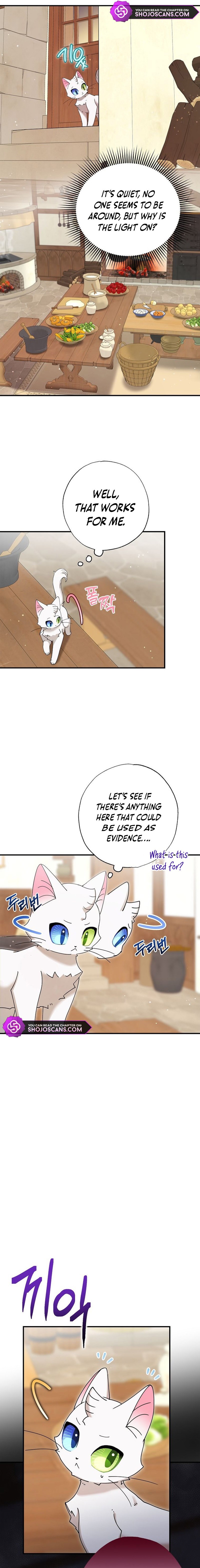 I Became the Emperor's Cat Chapter 8 page 17