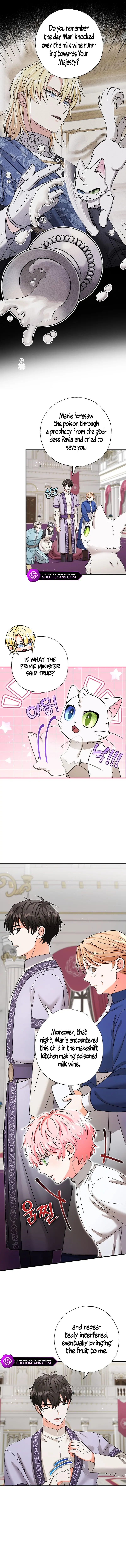 I Became the Emperor's Cat Chapter 19 page 4