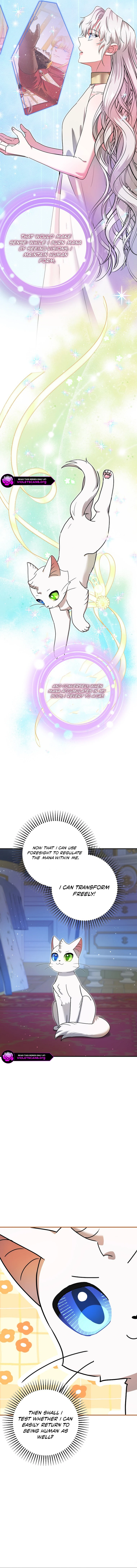 I Became the Emperor's Cat Chapter 72 page 11