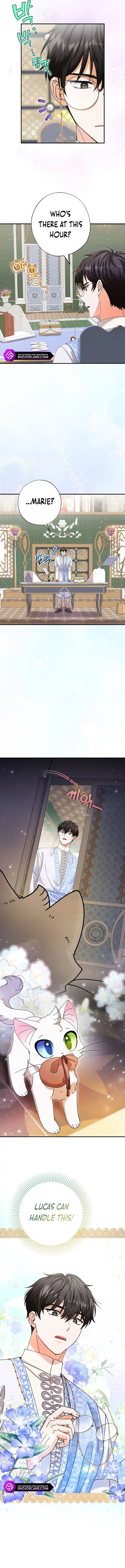 I Became the Emperor's Cat Chapter 11 page 8