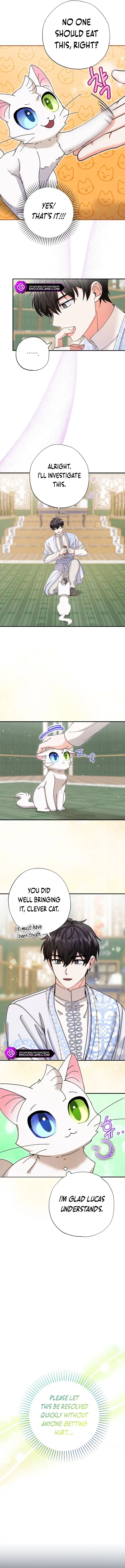 I Became the Emperor's Cat Chapter 11 page 11