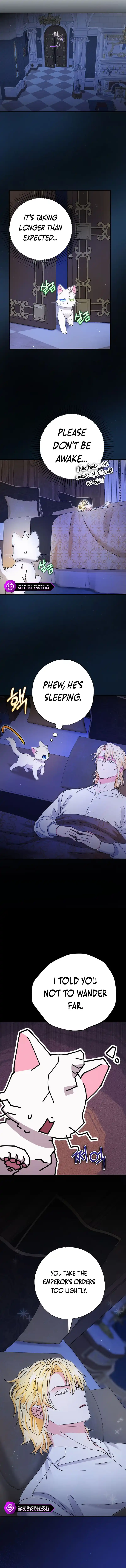 I Became the Emperor's Cat Chapter 11 page 12