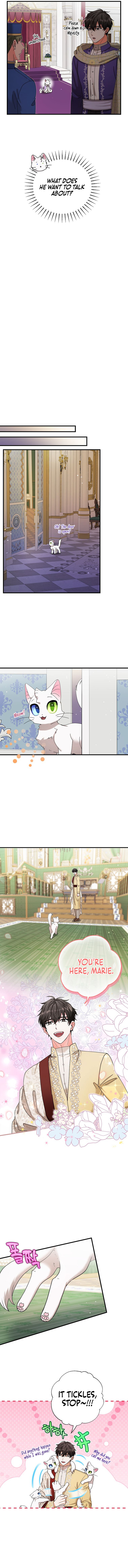 I Became the Emperor's Cat Chapter 17 page 5