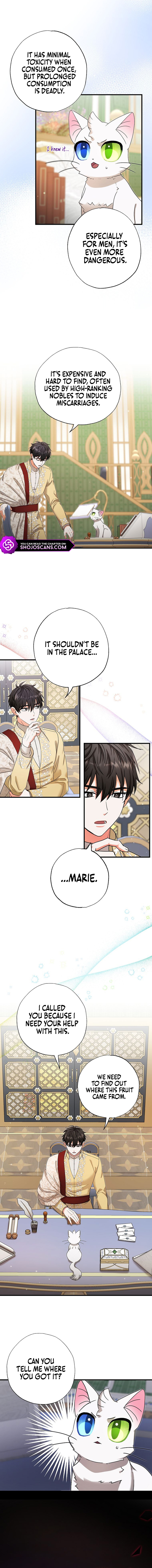 I Became the Emperor's Cat Chapter 17 page 7
