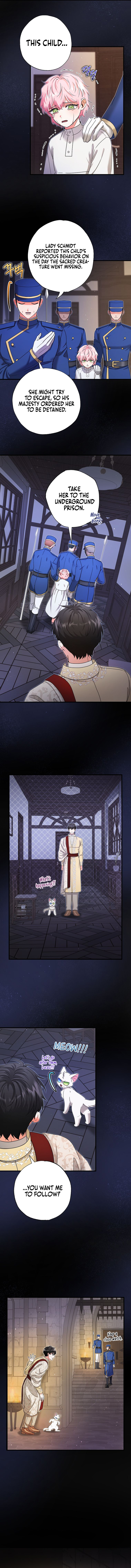 I Became the Emperor's Cat Chapter 17 page 11