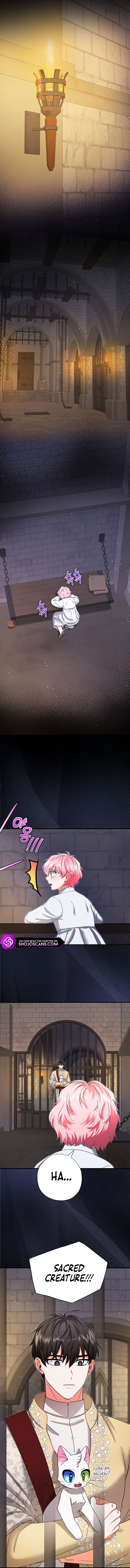 I Became the Emperor's Cat Chapter 17 page 12