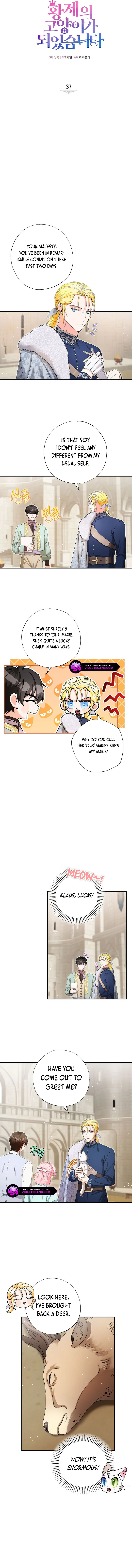 I Became the Emperor's Cat Chapter 37 page 2
