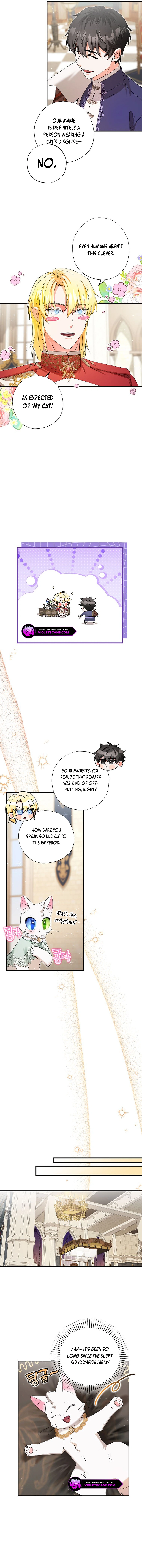 I Became the Emperor's Cat Chapter 32 page 9
