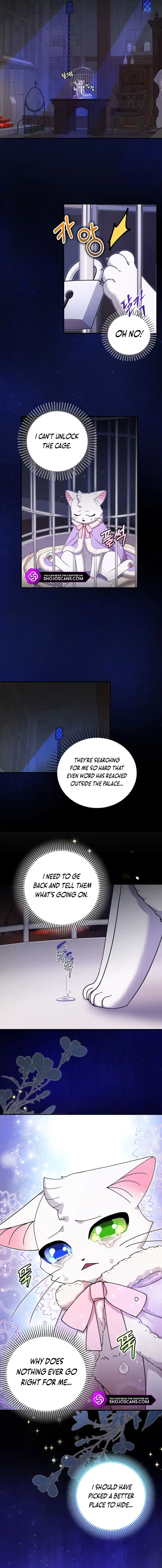 I Became the Emperor's Cat Chapter 15 page 7