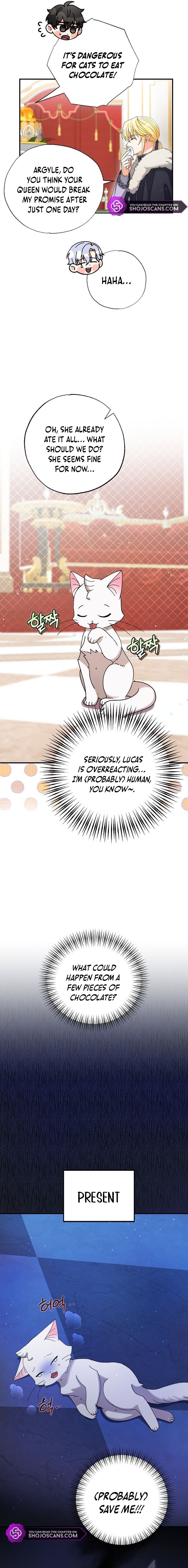 I Became the Emperor's Cat Chapter 4 page 8