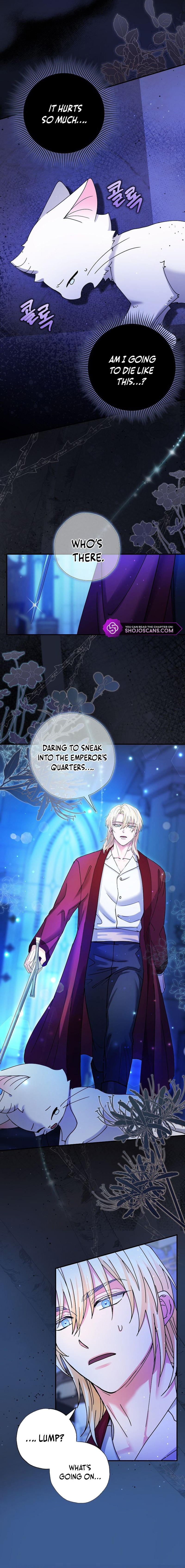 I Became the Emperor's Cat Chapter 4 page 9